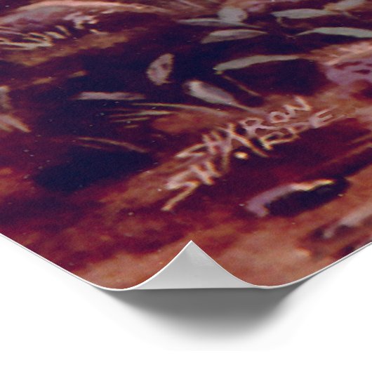 Poster MISTY UNICORN par SHARON SHARPE (Coin)