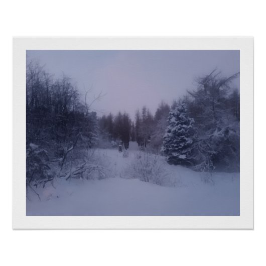 Poster Misty woods (Devant)