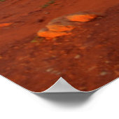 Poster Mittens, Vallée du Monument, AZ (Coin)