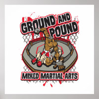 MIXED MARTIAL ART au sol et livre