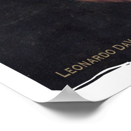 Poster MIXED MARTIAL ART Lisa (Coin)