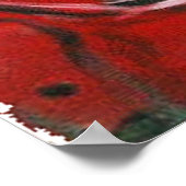 POSTER MIXTE TAPE DJ RED (Coin)