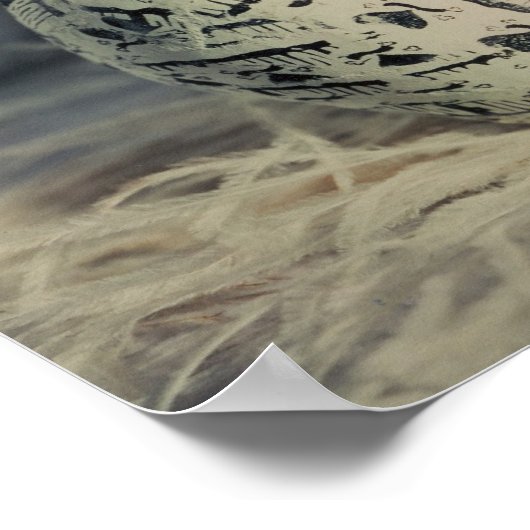 Poster MLB Apple (Coin)