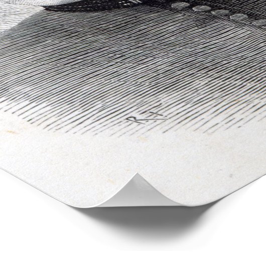 Poster Mlle Charlotte Robinson (Coin)