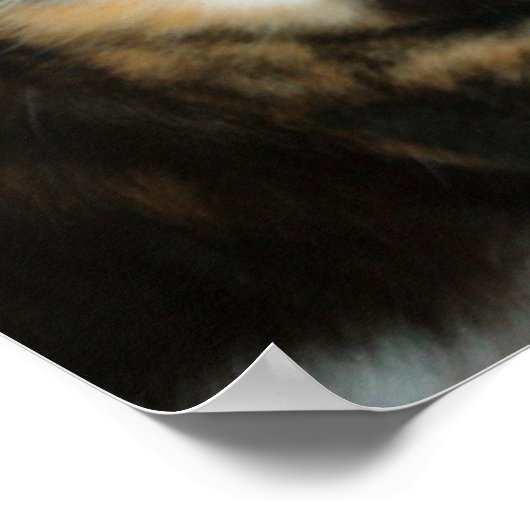 Poster Mlle. Chaton (Coin)