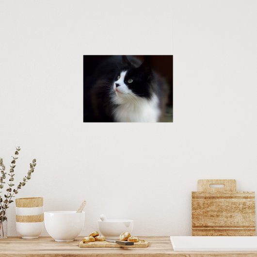 Poster Mlle Fluffy (Cuisine)