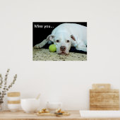 Poster Mlle vous le chiot triste avec balle de jouet - ch (Cuisine)