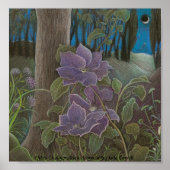 Poster 'Mme Cholmondeley clematis par Moonlight' (Devant)