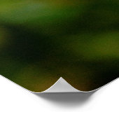 Poster Mme Oakley Fisher Rose (Coin)