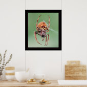 Poster Mme Weaver (Cuisine)