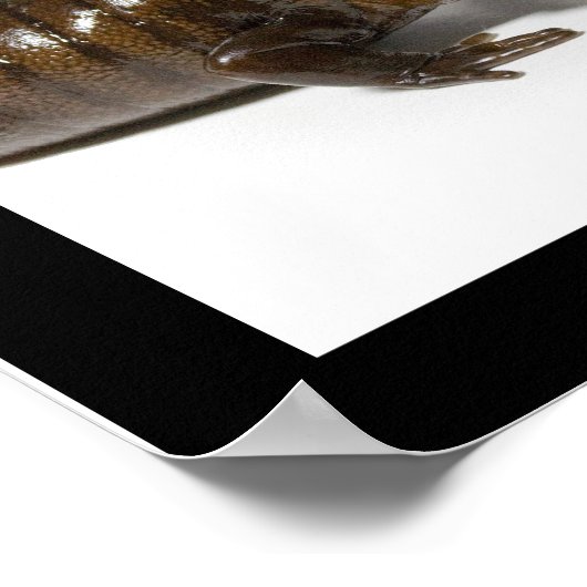 Poster Mmmmmmmmmmm...........................! (Coin)