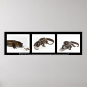 Poster Mmmmmmmmmmm...........................! (Devant)