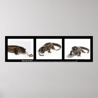 Poster Mmmmmmmmmmm...........................!