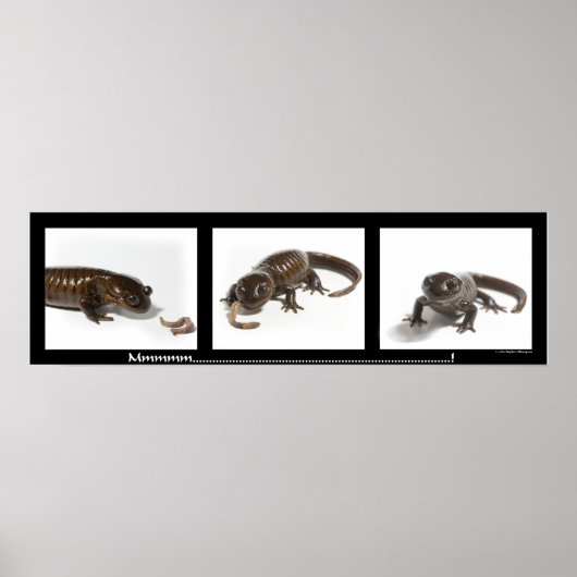 Poster Mmmmmmmmmmm...........................! (Devant)