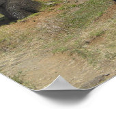 Poster Moai à Rano Raraku, île de Pâques (Coin)