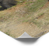 Poster Moai sur l'île de Pâques (Coin)