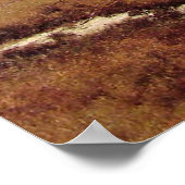 Poster Moat Mountain Intervale, New Hampshire, (Coin)