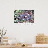 Poster Moccasin d'eau de Cottonmouth (Cuisine)