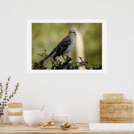 Poster mocking bird (Cuisine)