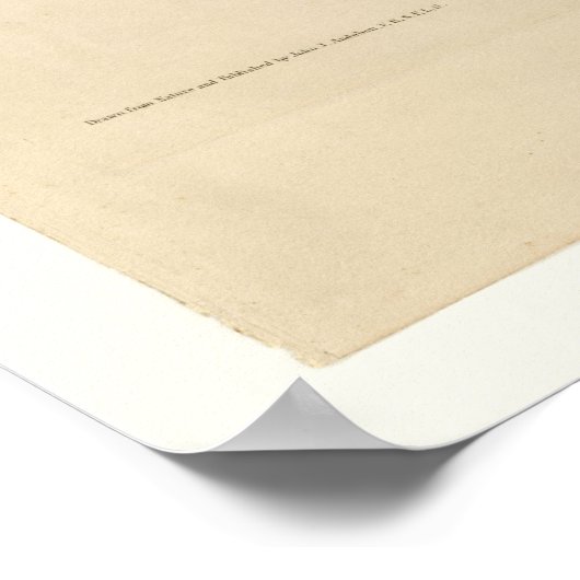 Poster Mocking Bird (Coin)