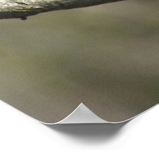 Poster - Mockingbird (Coin)