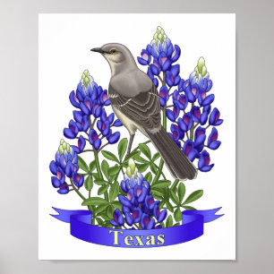 Poster Mockingbird & Bluebonnet Fleur du Texas State