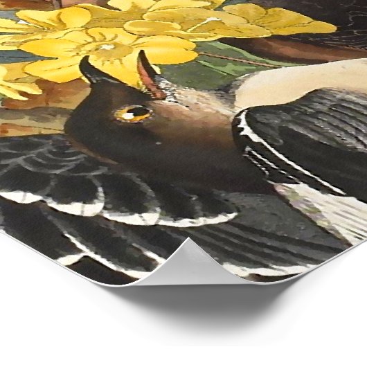Poster Mockingbirds, John James Audubon (Coin)