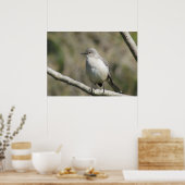Poster - Mockingvogel (Keuken)