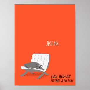 Poster Mod Cats - Posez la question