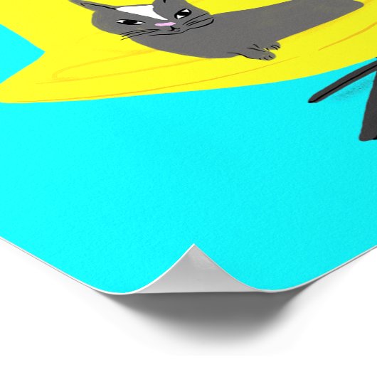 Poster Mod Cats - What's Not to Love ? (Coin)