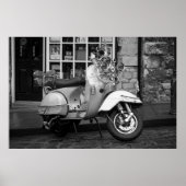 Poster Mod vintage scooter (Devant)