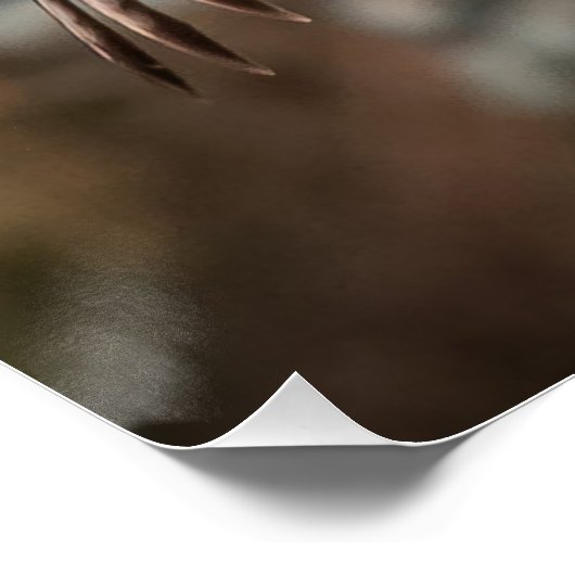 Poster Mode Attaque Buse à queue rousse (Coin)