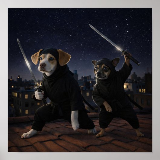 Poster "Mode furtif" (Devant)