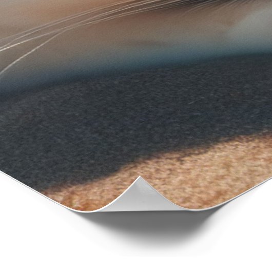 Poster Mode glamour mode mode mode de vie de luxe (Coin)