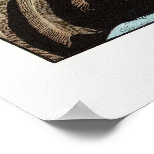 POSTER : MODE ILLUSTRATIE : GEORGE BARBIER (Hoek)