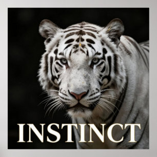 Poster Mode Luxueuse Tigre Blanc