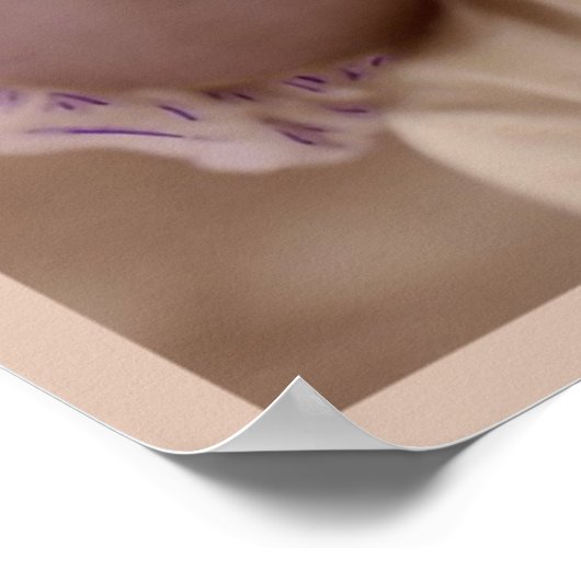 Poster Mode Vintage "Dame rose" (Coin)