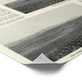 Poster Model Vineyards, Californie (Coin)