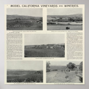 Poster Model Vineyards, Californie