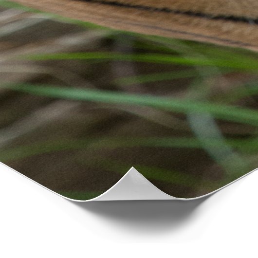 Poster modèle (Coin)