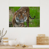 Poster modèle (Cuisine)