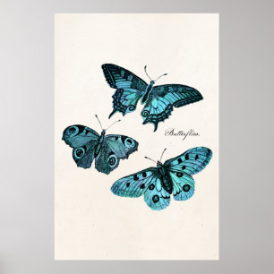 Poster Modèle bleu turquoise vintage d'illustration de