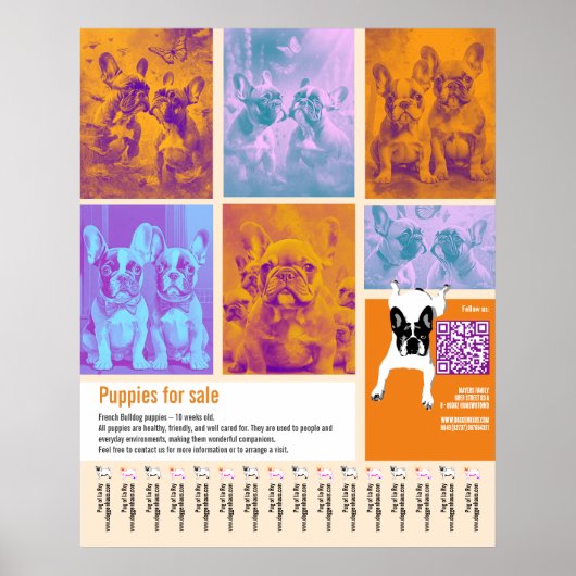 Poster Modèle d'affiche de chiots à vendre 6 images Code (Devant)