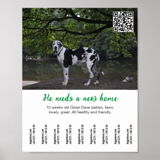 Poster Modèle d'affiche pour vendre un chien (Devant)