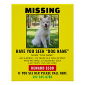 Poster Modèle d'alerte de chien disparu urgent (Devant)
