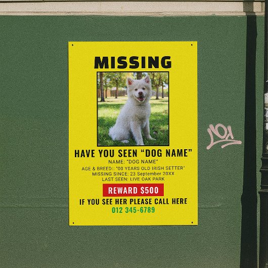 Poster Modèle d'alerte de chien disparu urgent