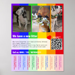 Poster modèle de chiots à vendre imprimable