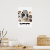 Poster Modèle de collage photo de mémorial pour chat 7 Ho (Cuisine)