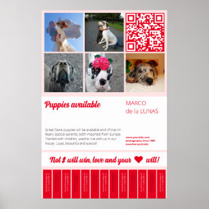Poster Modèle de flyer à vendre pour chiots imprimables à