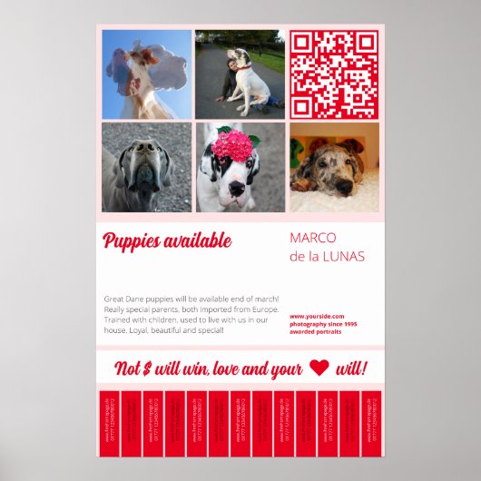 Poster Modèle de flyer à vendre pour chiots imprimables à (Devant)
